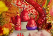 Hennessy Paradis x Shuting Qiu 700ml