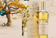 Macallan Harmony Collection Vibrant Oak