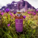 Macallan Edition No.5