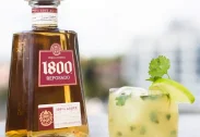 Tequila Reserva 1800 Reposado