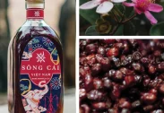 SÔNG CÁI ROSE GIN