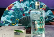 Lady Trieu Contemporary Vietnam Gin