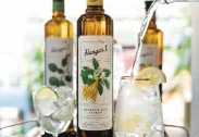HANGAR 1 Buddha’s Hand Citron Vodka