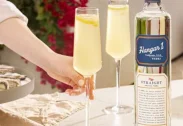 HANGAR 1 Straight Vodka