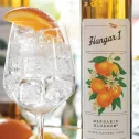HANGAR 1® MANDARIN BLOSSOM ORANGE VODKA