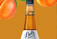 Bols Apricot Brandy