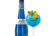 Bols Blue Curacao
