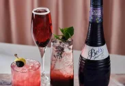 Bols Crème De Cassis