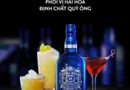 Chivas 18 năm (YO) Blue Signature