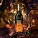 The Glenmorangie Signet
