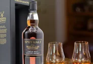 Speymalt Macallan 2003 -2022 19YO 58.4% 1st fill sherry Hogshead