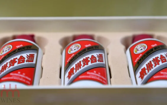 Tổng hợp các loại rượu Mao Đài đang hot hiện nay