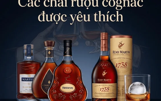 Tổng hợp các chai rượu cognac đang hot năm 2026