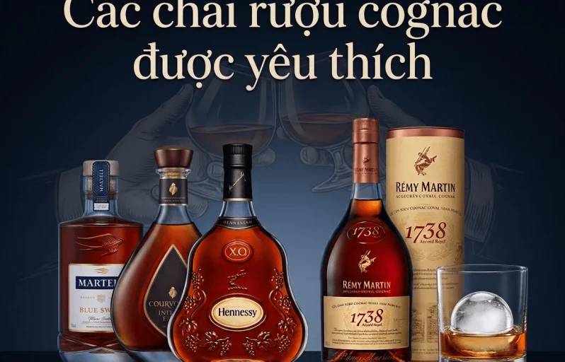 Tổng hợp các chai rượu cognac đang hot năm 2026