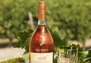 RÉMY MARTIN 1738 ACCORDROYAL 2025