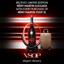Remy Martin VSOP Black 3000ml