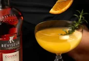 COGNAC REVISEUR VS