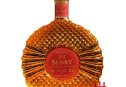SUNNY X.O 