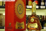 Cayard Napoleon Extra