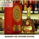 Cayard Napoleon Extra