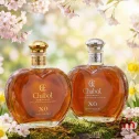 Chabot Armagnac Coeur XO