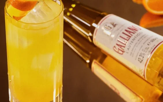 Cách pha cocktail Harvey Wallbanger với rượu Galliano chuẩn vị