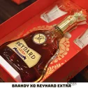 Reynard Napoleon Extra