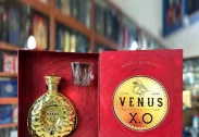 Venus XO limited Gold