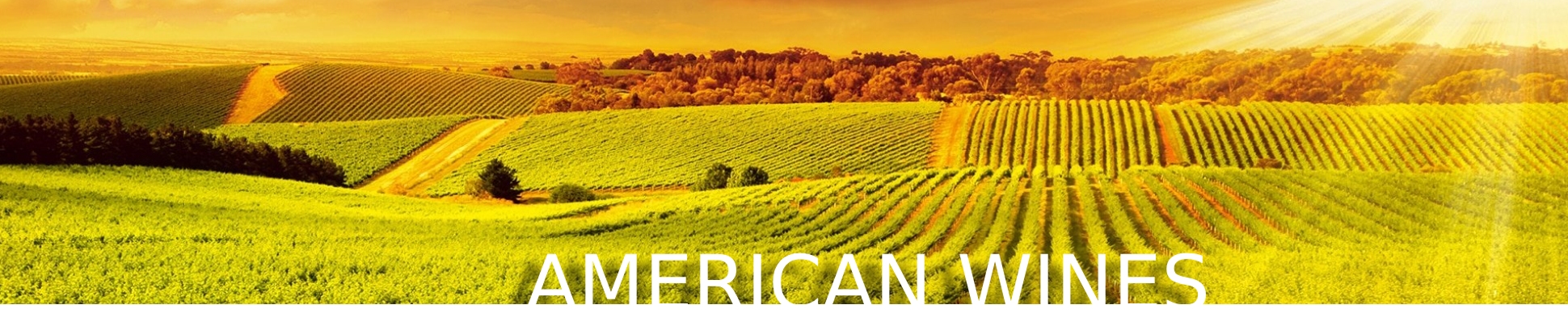 American